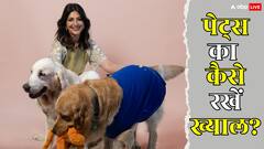 डॉग और कैट लवर कैसे रखें अपने पेट्स का ख्याल? सोनाली बेंद्रे ने बताया