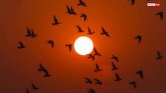 यूपी में ठंडी हवाओं ने बढ़ाई सर्दी, लखनऊ की हवा अब भी जहरीली, जानें अब कैसा होगा मैसम