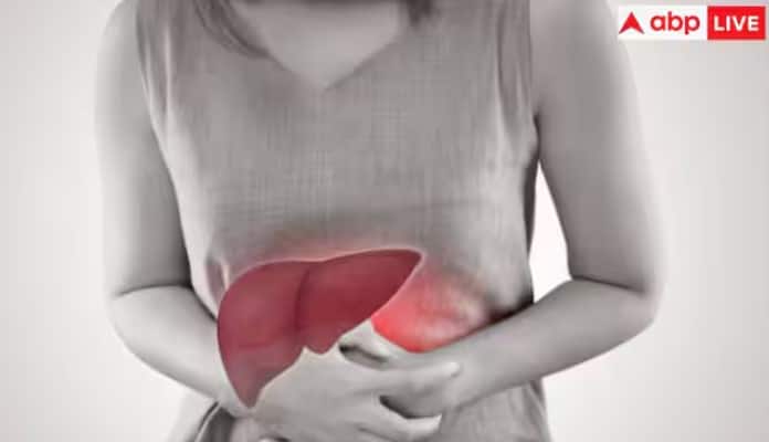 લસણ અને ડુંગળીમાં રહેલા એમિનો એસિડ લીવરમાંથી હાનિકારક પદાર્થોને દૂર કરવામાં અને ચયાપચયને વેગ આપવામાં મદદ કરે છે. આનું નિયમિત સેવન લીવરમાં ચરબીના સંચયને રોકવામાં મદદ કરે છે, લીવરને મજબૂત રાખે છે.