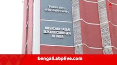 শ্মশানে দাহ করতে ২০০০ টাকা করে দেয় রাজ্য, 'কতজন এই সুবিধা নিয়েছেন ?' মৃত ভোটার খুঁজতে এবার খতিয়ে দেখছে কমিশন