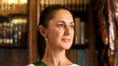 ‘If They Can Do This To Me’: Man Gropes And Tries To Kiss Mexican President