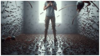 Telangana Crime News: చీమల ఫోబియాతో మహిళ ఆత్మహత్య- కన్నీళ్లు పెట్టిస్తున్న సూసైడ్ లెటర్