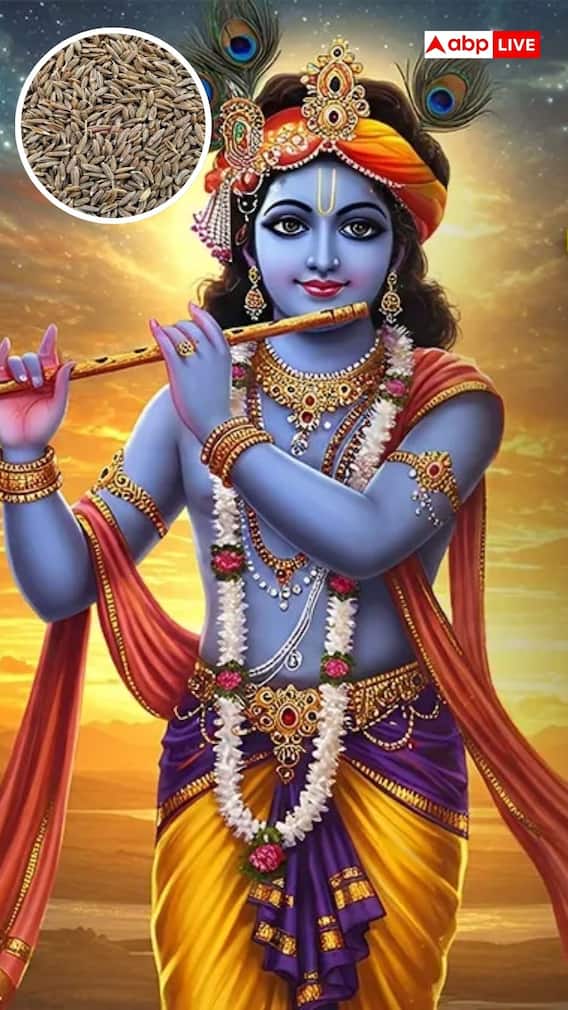 मार्गशीर्ष महिन्यात जिरे का खाऊ नये?