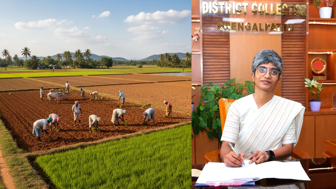 செங்கல்பட்டு விவசாயிகளுக்கு முக்கிய அறிவிப்பு! நவம்பர் 15-க்குள் இதைச் செய்தால் பலன் நிச்சயம்!