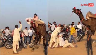 पुष्कर मेले में ऊंट की सवारी करने पहुंचा था विदेशी कपल, पीठ पर बैठते ही बिगड़ा बैलेंस और फिर... देखें वीडियो