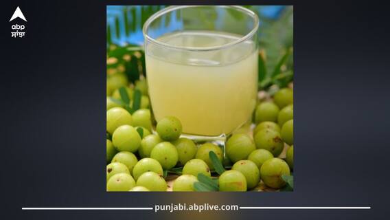 ਵਜ਼ਨ ਘਟਾਉਣ ਲਈ ਰੋਜ਼ ਪਿਓ ਇਕ ਗਿਲਾਸ ਆਂਵਲੇ ਦਾ ਪਾਣੀ, ਸਰੀਰ ਦੀਆਂ ਸਮੱਸਿਆਵਾਂ ਵੀ ਹੋਣਗੀਆਂ ਦੂਰ ਹੋਣਗੀਆਂ, ਜਾਣੋ  ਆਂਵਲਾ ਵਾਟਰ ਦੀ ਰੈਸਪੀ