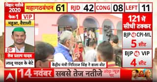 Bihar Election: Bihar Votes Amid High-Stakes Battle Between Political Heavyweights in Mokama