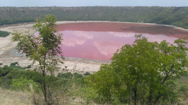 The alkaline environment, heavy salinity and mix of minerals help them survive in conditions that would normally be fatal for humans or animals. Research has also revealed that some microbes of the lake can tolerate extreme heat and salinity.