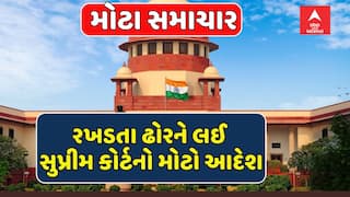 Stray Animal Verdict : રખડતા ઢોરને લઈ સુપ્રીમ કોર્ટનો મોટો આદેશ