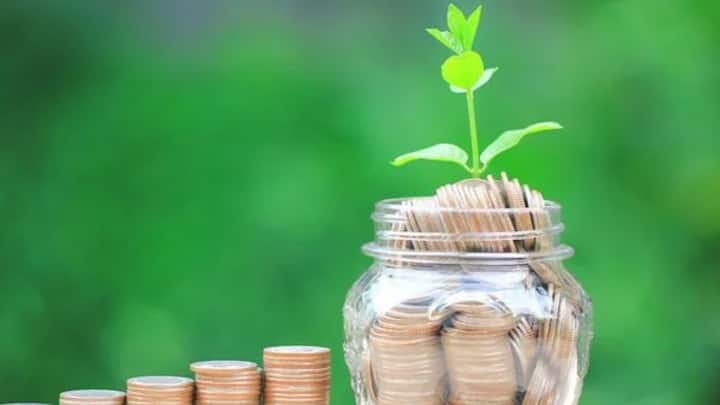 In these funds, investment remains stable as the stake in each segment is fixed. Large cap companies provide stability. Whereas mid and small caps increase growth. This maintains the balance of the portfolio. Investors who want good returns with balanced risk. This is the right option for them.
