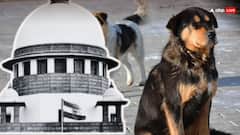 'सड़कों पर न दिखें, शेल्टर होम में रखे', आवारा कुत्तों को लेकर सुप्रीम कोर्ट ने दिए तीन अहम आदेश