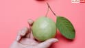 How to Pick Sweet Guava: हर बार कैसे खरीदें शानदार और मीठा अमरूद? ये 4 टिप्स आजमा लिए तो बीवी से कभी नहीं पड़ेगी डांट