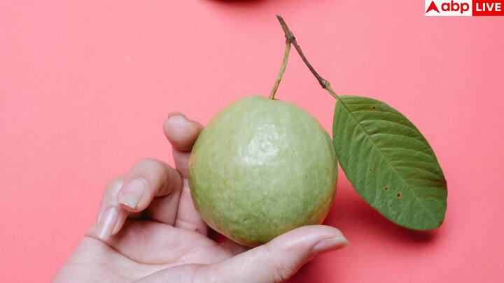 पका हुआ अमरूद हल्का हरा या पीला होता है. गहरा हरा मतलब कच्चा और बहुत पीला मतलब ज़्यादा पका. संतुलित रंग वाला अमरूद सबसे मीठा और स्वादिष्ट होता है.