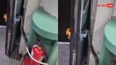 चलती ट्रेन में गेट के पास नजर आया बेहद तगड़ा अजगर, उससे भी टिकट मांगने लगे यूजर्स