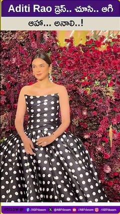 అదితీ రావు డ్రెస్ చూసి ఆగి ఆహా అనాలి