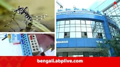 উৎসব মরশুম শেষ হতেই চোখ রাঙাচ্ছে ডেঙ্গি, নতুন করে আক্রান্ত ১ হাজার ৬৩২ জন !