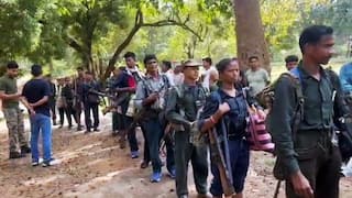 Seven Maoists Surrender In Chhattisgarh, Government Offers Rehabilitation