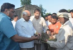 Gujarat: રાજ્યના તમામ ખેડૂતોને મળશે લાભ, હેક્ટર દીઠ 22000 રૂપિયાની ચૂકવાશે સહાય  