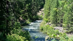 इन नदियों में पानी के साथ बहता है सोना, कोई भी निकालकर बन सकता है रईस?