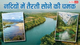 इन नदियों में पानी के साथ बहता है सोना, कोई भी निकालकर बन सकता है रईस?