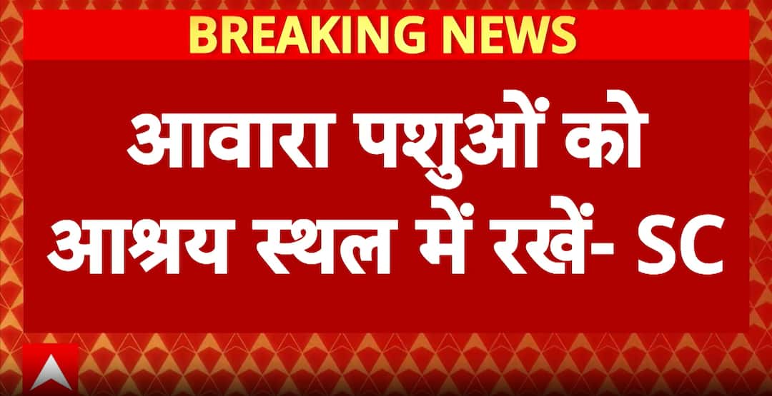 Supreme Court Orders Stray Dogs To Be Moved To Shelter Homes, Directs Civic Bodies To Form Patrolling Teams