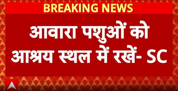 Supreme Court Orders Stray Dogs To Be Moved To Shelter Homes, Directs Civic Bodies To Form Patrolling Teams