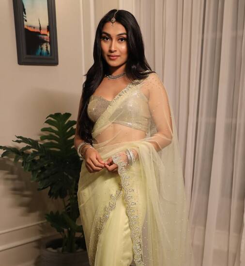 इसके बाद आकृति ने पवन के फिल्म ऑफर करने पर भी बात की और कहा कि, वो भी मेरे लिए शॉकिंग था कि पहले ही दिन ऐसे कौन कहता है. उन्होनें कहा,  मैंने उनके गाने सुने हैं लेकिन फिल्में नहीं देखी हैं. फिनाले के दिन बातचीत में पता चला कि वो सीरियस हैं. वो मुझे फिल्म में हीरोइन लेंगे और उसके हीरो वो खुद होंगे.