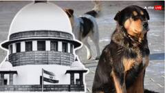 ਸੁਪਰੀਮ ਕੋਰਟ ਨੇ ਆਵਾਰਾ ਕੁੱਤਿਆਂ ਦੇ ਮਾਮਲੇ ‘ਚ ਸੁਣਾਇਆ ਵੱਡਾ ਫੈਸਲਾ, ਕਿਹਾ- ਹੁਣ ਤੋਂ ਸੜਕਾਂ ‘ਤੇ ਨਾ ਦਿਸਣ....
