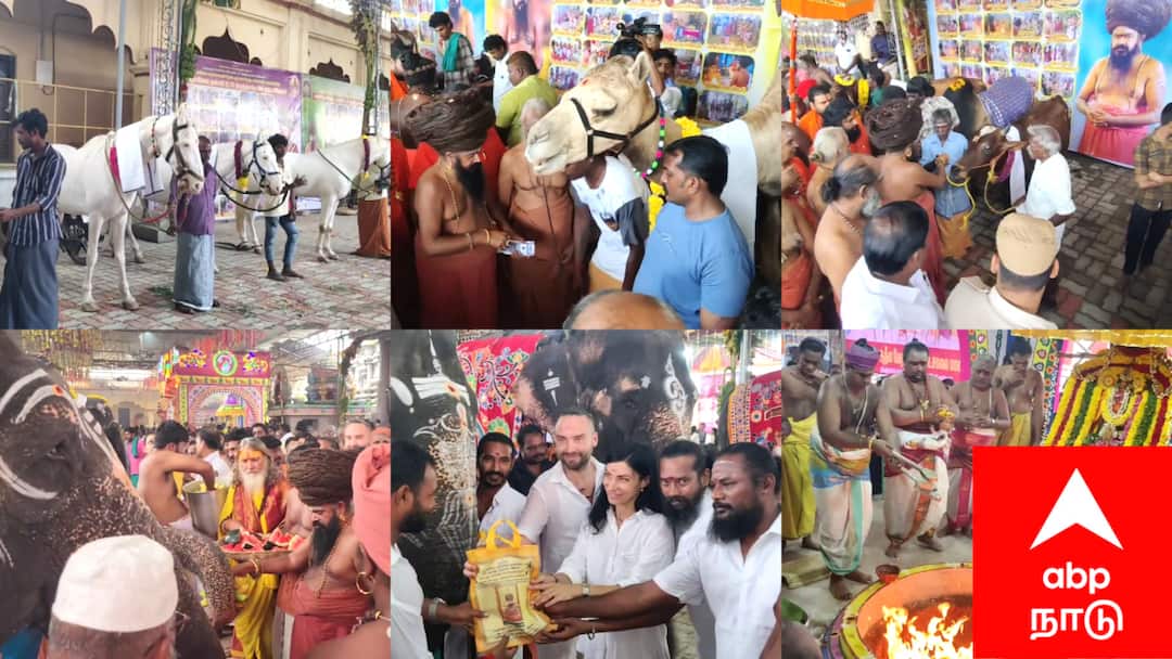 60 மிருகங்களுக்கு சிறப்பு பூஜை செய்து வழிபட்ட தருமபுரம் ஆதீன மடாதிபதி - காரணம் இதுதான்..!   