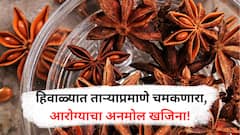 Star Anise : घरच्या जेवणाचा स्वाद वाढवणारा ताऱ्यासारखा मसाला!