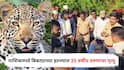 Nashik Leopard Attack: पुण्यापाठोपाठ नाशिकमध्ये बिबट्याच्या हल्ल्यात 35 वर्षीय तरुणाचा मृत्यू, छिन्न-विच्छिन्न अवस्थेत आढळला मृतदेह; ग्रामस्थ आक्रमक