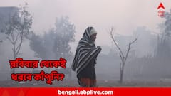 রবিবার থেকেই ধরবে কাঁপুনি? কত নামবে তাপমাত্রা? শীতের আগমনবার্তা দিল আবহাওয়া অফিস