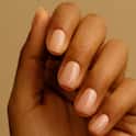 Samudrik Shastra: છોકરીઓનાં ગુલાબી અને સફેદ નખ બતાવે છે તેમનો સ્વભાવ અને ભાગ્ય !