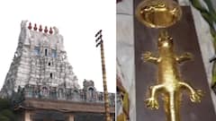 காஞ்சிபுரம் வரதராஜப் பெருமாள் கோயில்: தங்கப் பல்லி மாயம்? பொய்யான புகார்! அறநிலையத்துறை அதிரடி!