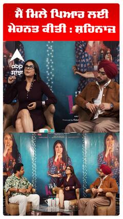 ਮੈਂ ਮਿਲੇ ਪਿਆਰ ਲਈ ਮੇਹਨਤ ਕੀਤੀ : ਸ਼ਹਿਨਾਜ਼