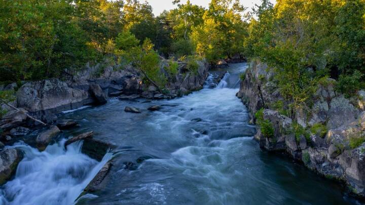 दुनिया में भी सोने की नदियों की कमी नहीं. अमेरिका की मिसौरी नदी 19वीं सदी में सोने की खोज के लिए प्रसिद्ध थी. गोल्ड रश के दौरान यहां हजारों लोगों ने नदी की रेत से सोना ढूंढा और कई जीवन बदल गए.