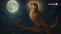 व्याल से लेकर ऐरावत तक हिंदू धर्म के 5 अद्भुत जीव, जानिए इनकी शक्तियां और महत्व! देखें फोटो