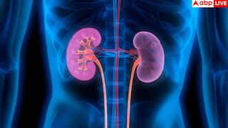 Kidney Disease Symptoms: मौत होने की टॉप-10 वजहों में से एक हैं किडनी की बीमारियां, इन्हें वक्त पर कैसे पहचानें?