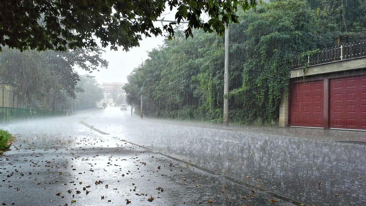 TN Weather : குடையை ரெடி பண்ணுங்க! வங்கக்கடலில் காற்றழுத்த தாழ்வு பகுதி: 4 மாவட்டங்களுக்கு ஆரஞ்சு எச்சரிக்கை!