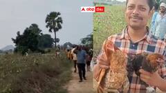 ఆ ఊళ్లో 2 వేల నాటు కోళ్లను వదిలేసిన గుర్తు తెలియని వ్యక్తులు - పట్టుకుని పండగ చేసుకున్న గ్రామస్తులు - ఇంతకీ ఎందుకు వదిలేశారు?