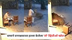 वाघाने वनरक्षकावर हल्ला केलेला 'तो' व्हिडीओ खोटा; ‘एआय’ तंत्रज्ञानाने बनवल्याचा वन विभागाचा दावा