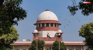 राजस्थान में हुए सड़क हादसे पर सुप्रीम कोर्ट ने लिया स्वतः संज्ञान, ट्रेलर से टकराया था टेंपो, 15 की हुई थी मौत