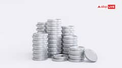 हर साल 5 किलो चांदी खरीदी तो 20 साल में होगी 100 किलो, क्या इसे रखना कानूनन होगा गलत?