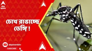 Dengue Case :রাজ্যে নতুন করে বাড়ছে ডেঙ্গি উদ্বেগ ! নতুন করে ডেঙ্গি আক্রান্তের সংখ্যা ১ হাজার ৬৩২