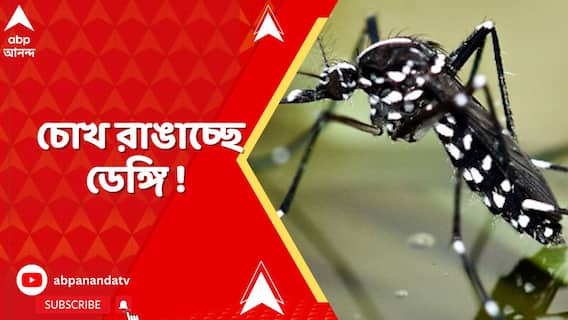 রাজ্যে নতুন করে বাড়ছে ডেঙ্গি উদ্বেগ!গোটা অক্টোবর মাসজুড়ে মোট আক্রান্তের সংখ্যা ৩ হাজার ২০০