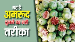 How to Pick Sweet Guava: हर बार कैसे खरीदें शानदार और मीठा अमरूद? ये 4 टिप्स आजमा लिए तो बीवी से कभी नहीं पड़ेगी डांट