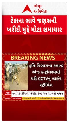 MSP News : ગુજરાતમાં ટેકાના ભાવે ખરીદી કરતા કેન્દ્રો પર સીસીટીવીથી રખાશે નજર
