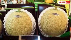 పండ్ల ప్రపంచంలో ఐఫోన్! ఈ పుచ్చకాయను కొనాలంటే ఆస్తులు అమ్ముకోవాల్సిందే