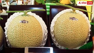 ये है फलों की दुनिया का आईफोन! इस खरबूजे की कीमत में आ जाएगी चमचमाती एसयूवी- यूजर्स के उड़े होश