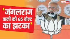 'बिहार का बच्चा रंगदार बनना चाहिए या डॉक्टर', सीतामढ़ी में RJD पर बरसे पीएम मोदी